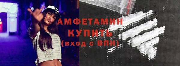 прущие грибы Абаза