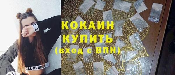 прущие грибы Абаза