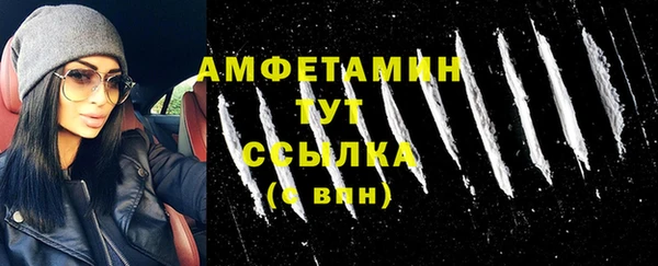 ешки Алексин