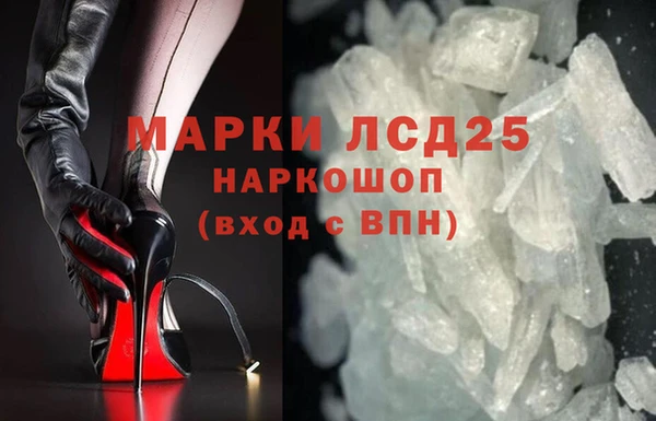 прущие грибы Абаза