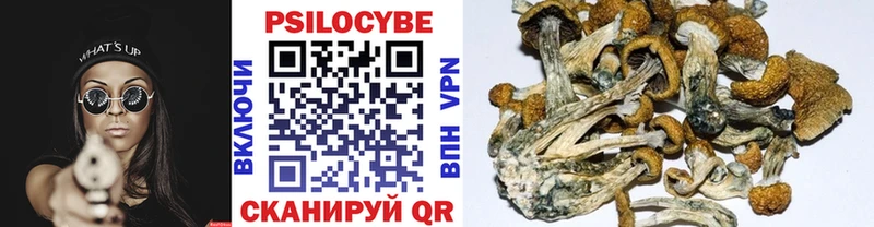 Галлюциногенные грибы мицелий  цена   Смоленск 